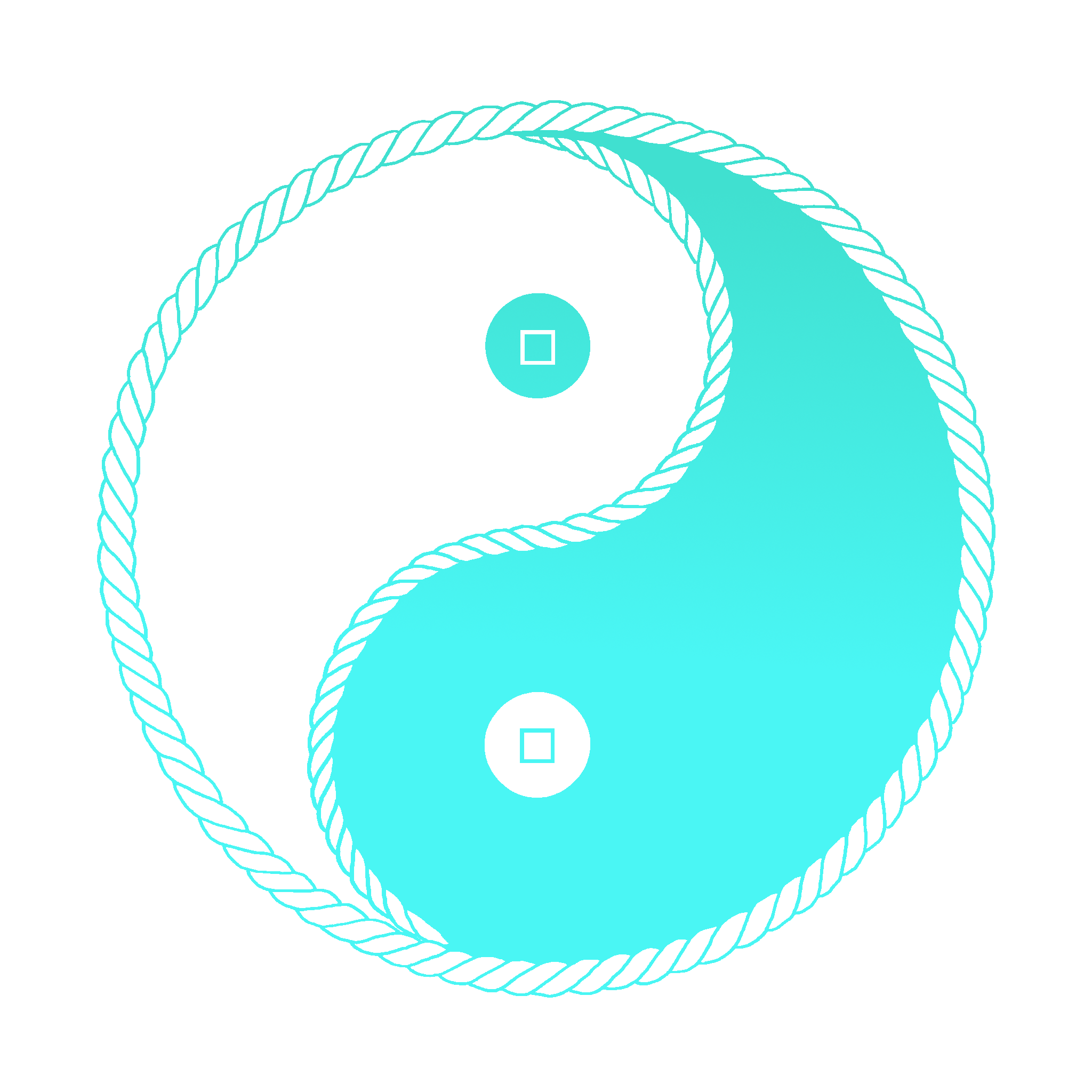 FortuneCord Taiji Logo