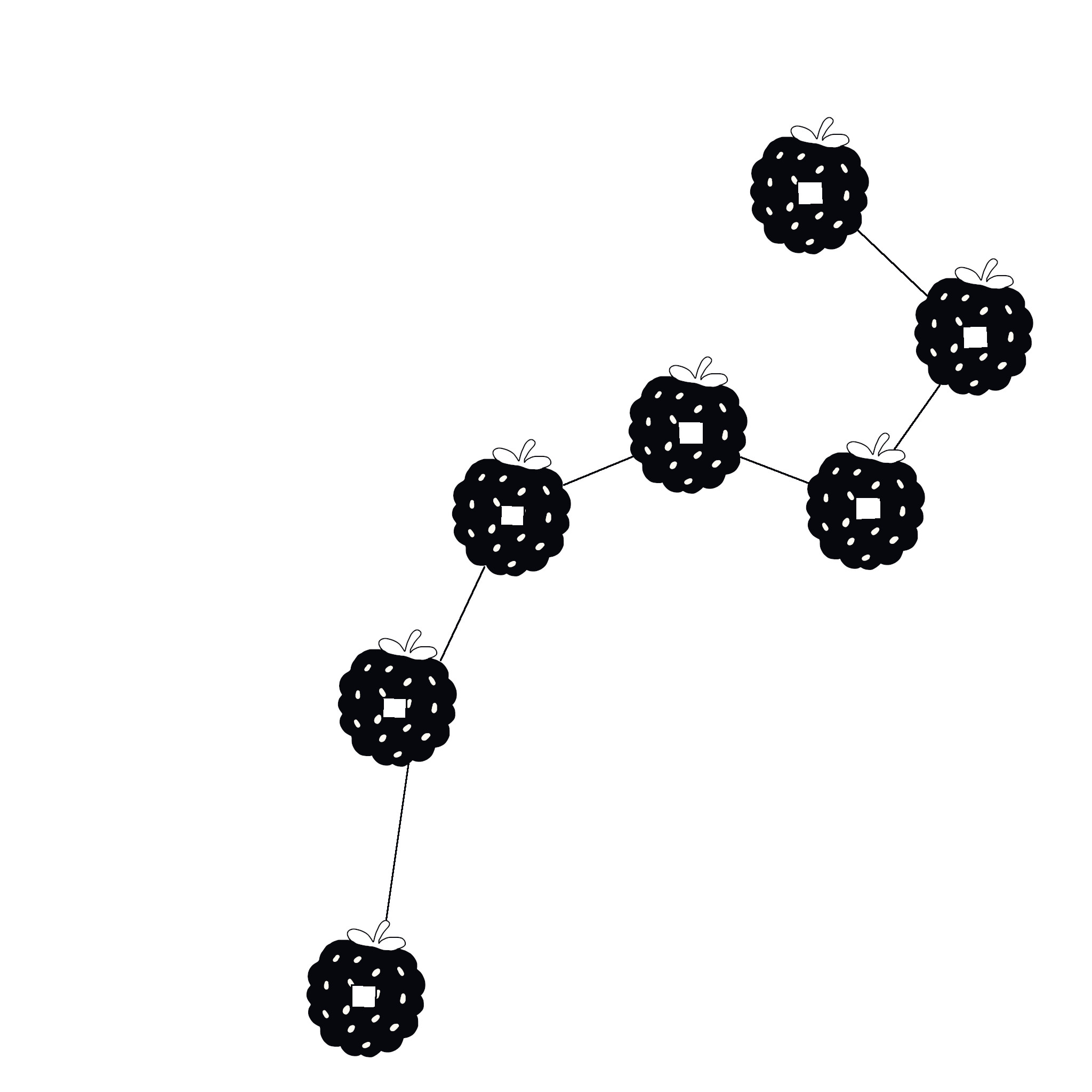 Mulberry Fruit Star Coin: Big Dipper Seven Coins Chart